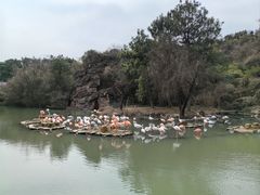 -宁波野生动物园