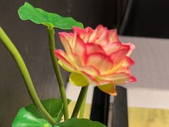 -观宴·品质赣菜(高新大道店)