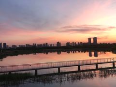 -哈尔滨大剧院