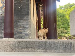 -晋祠公园