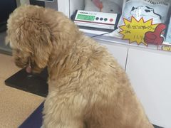 -宠颐生中康贝怡动物医院