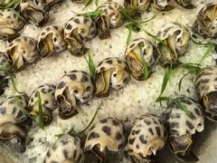 -北塘海鲜·天津菜·鲅鱼水饺是一绝(大光明桥旗舰店)