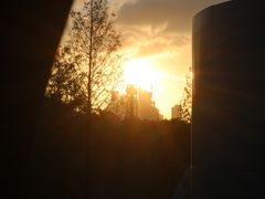 -宝安西湾红树林湿地公园