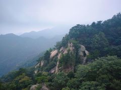 -六里坪国家森林公园
