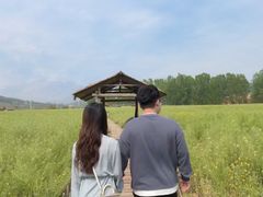 -西海岸生态观光园