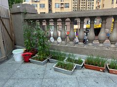 -鑫龙火锅城(青岛分店)