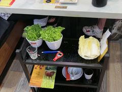 -潮牛禾记•潮汕鲜牛肉火锅(新亚洲店)