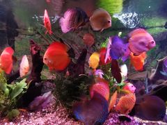 -上海海洋水族馆