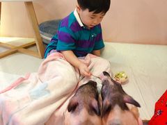 -浣熊柯尔鸭土拨鼠·电玩咖
