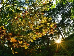 -上海市保健医疗中心