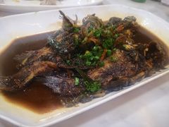 红烧昂子鱼-观桥阁(锦溪店)