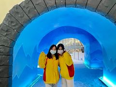 -世界之窗阿尔卑斯冰雪世界
