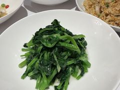高山豆苗-南麓·浙里(外滩店)