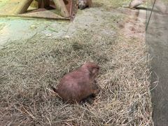 -正佳雨林生态植物园