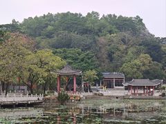 -长洲岛