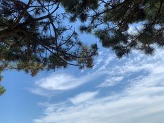 -日照海滨国家森林公园