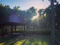 -三亚海棠湾万丽度假酒店