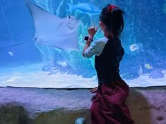 -沈阳海洋探索中心