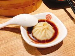 -老班长手工灌汤包(望京华彩店)