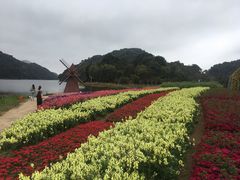 -广州市石门国家森林公园