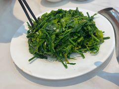 五指山野菜-文昌鸡饭店110号(中山路店)