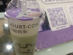 -一只酸奶牛(洪崖洞11楼店)