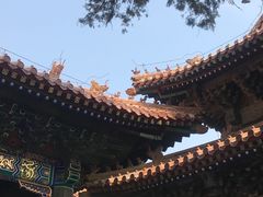 -孔府