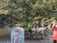 -青岛崂山太清宫