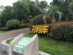 -南京银杏湖乐园