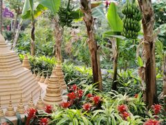 -南宫五洲植物乐园