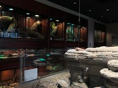 -帕帕拉兹宠物(亚洲旗舰店)