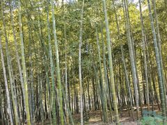 -南北湖风景区