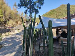 -MOJ coffee(瓯海泽雅水碓坑店)