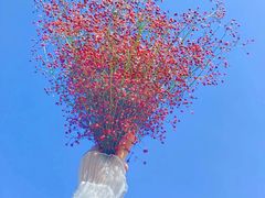 -味多美蛋糕(洋桥店)