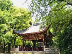 -汇龙潭