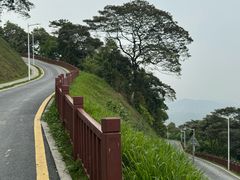 -黄埔油麻山森林公园