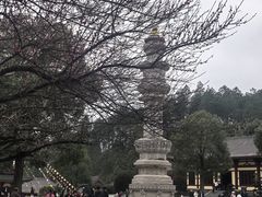 -庐山风景名胜区-东林大佛