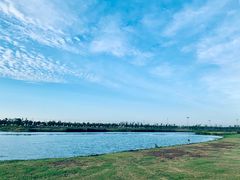 -春花秋色城市公园