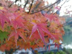 -南山风景名胜区