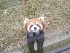 -东部华侨城