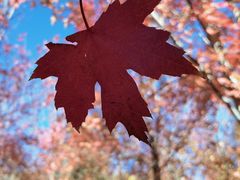 -北京西山国家森林公园