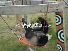 -无锡动物园·太湖欢乐园