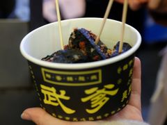 -武爹臭豆腐(坡子街店)