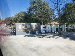 -元谋浪巴铺土林景区