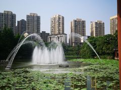 -龙头寺公园