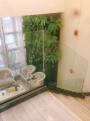 点击看大图 -苗医生草本科技祛痘