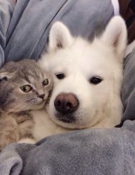 点击看大图 -悦芳庭美肤美体品牌集合店