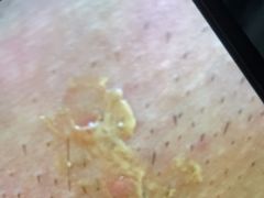 -美姿水荟美食水疗