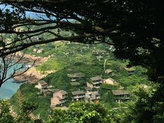 -枸杞岛