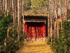 -青龙山生态文化旅游区(慈云寺)